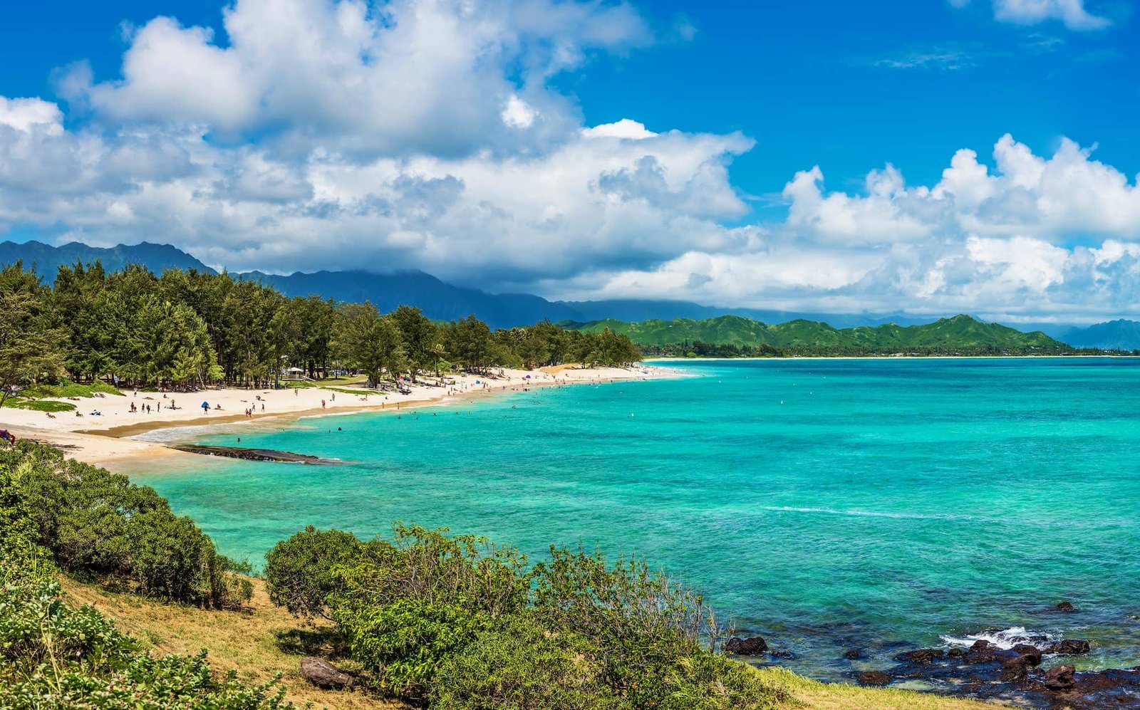 Kailua Construction